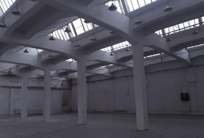 Spațiu industrial, de 140,000 mp, în Vest - 4