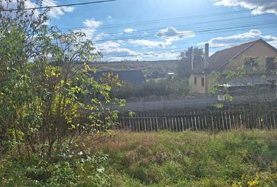 Teren agricol intravilan de 1000 mp, în Proselnici - 3