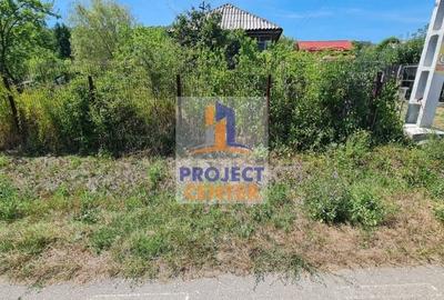 Casă cu 3 camere cu Teren 4525 Mp în Băbana - 3