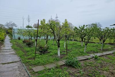 Teren de 1105 mp, în Păcii - 5