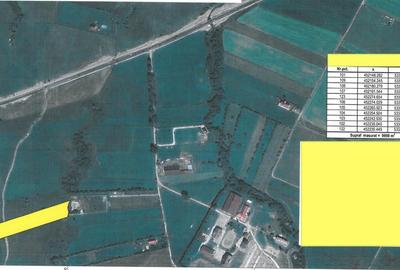 Teren Construcții extravilan de 9998 mp, în Pănicel - 6