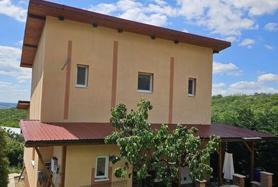 Casă cu 2 camere în Podgoria - 2