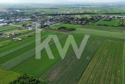Teren Construcții intravilan de 17240 mp, în Stupini - 6