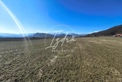 Teren agricol extravilan de 2800 mp, în Tălmaciu - 6