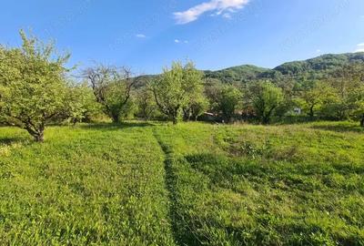 Teren de 950 mp, în Păușești - 2
