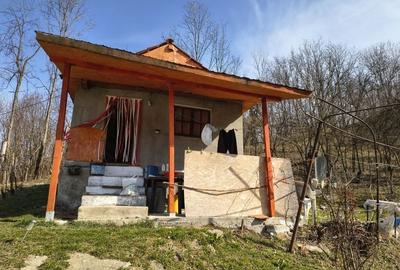 Casă cu 2 camere în Telega - 1