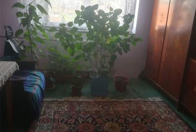 Apartament cu 3 camere decomandat în Rogerius - 2