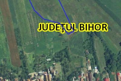 Teren de 7400 mp, în Betfia