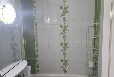 Garsonieră în Dosu Bricii - 8