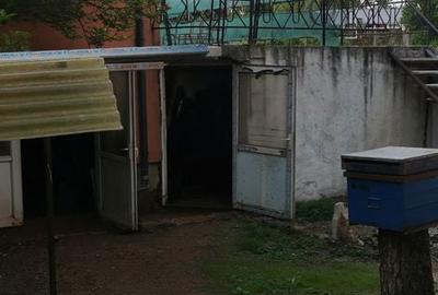 Casă cu 4 camere cu Teren 400 Mp în 7 Noiembrie - 4