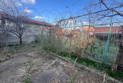 Casă cu 5 camere cu Teren 583 Mp în Micălaca - 3