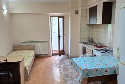 Garsonieră decomandată în Nicolina - 3