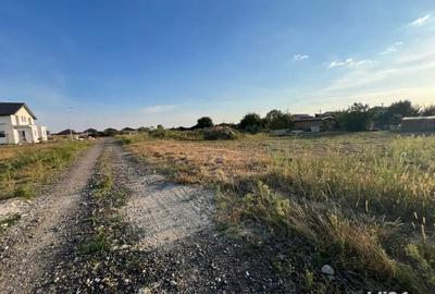 Teren de 594 mp, în Bucovăț (Remetea Mare) - 1