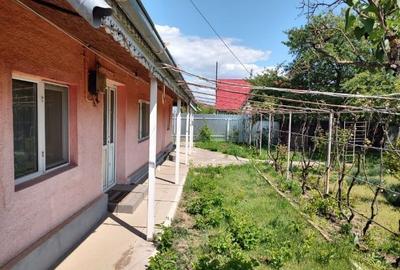 Casă individuală cu 3 camere cu Teren 1400 Mp în Cișmele - 3
