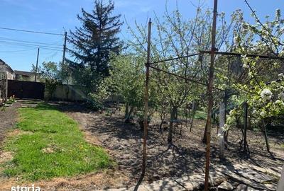 Casă cu 3 camere cu Teren 3500 Mp în Cenei