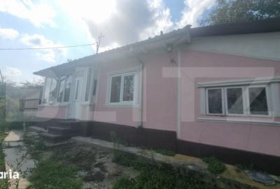 Casă cu 4 camere cu Teren 2982 Mp în Costuleni