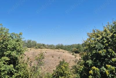 Teren în Grebănu - 3