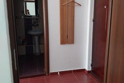 Garsonieră în Cantacuzino - 3