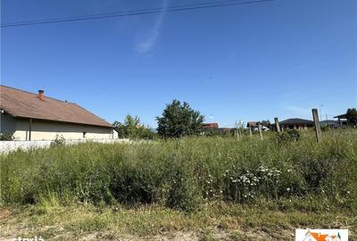 Spațiu comercial, în Central