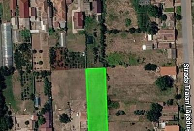 Teren de 1470 mp, în Macea