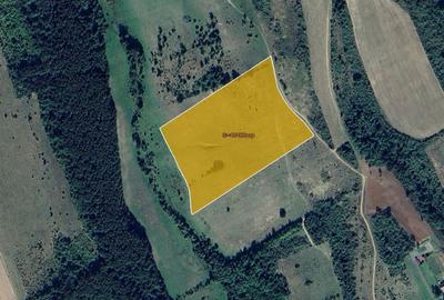 Teren agricol extravilan de 67000 mp, în Exterior Est - 3