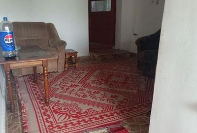 Casă cu 2 camere cu Teren 90 Mp în Bucu - 7