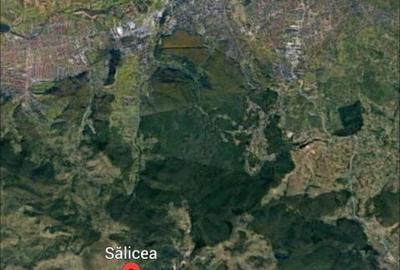 Teren de 2000 mp, în Ciurila