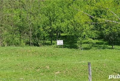 Teren de 2070 mp, în Vârfuri - 6