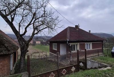 Casă cu 2 camere în Buciumi - 3