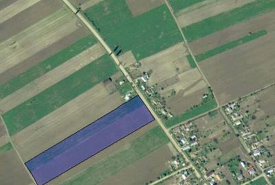 Teren de 2000 mp, în Tăcuta - 1