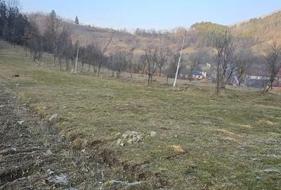 Teren de 4300 mp, în Cornereva