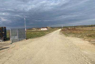 Teren de 3700 mp, în Mărăcineni - 1