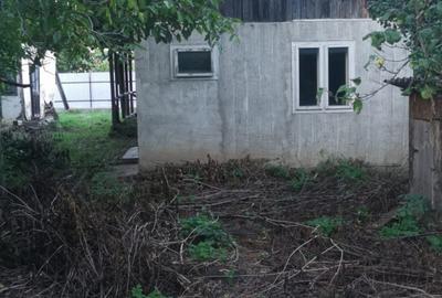 Casă cu 2 camere în Humulești - 1