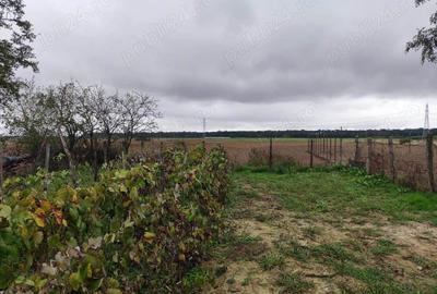 Teren de 3384 mp, în Periș - 2