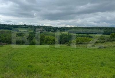 Teren de 2917 mp, în Meseșenii de Jos