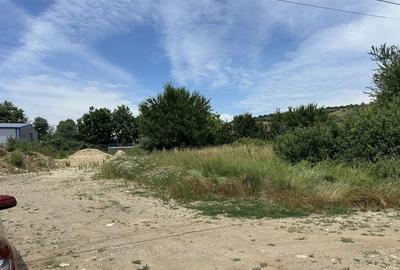 Spațiu comercial, în Șura Mare - 1