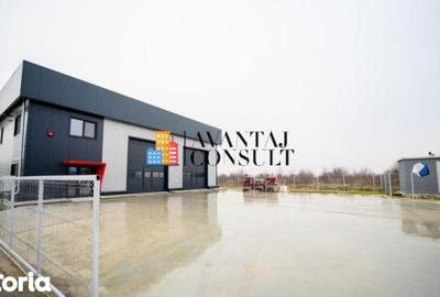 Spațiu comercial, de 490 mp, în Chiajna - 12