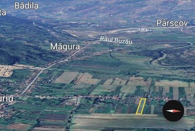 Teren de 10000 mp, în Unguriu - 4