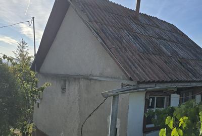 Spațiu comercial, în Săldăbagiu de Munte