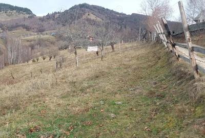 Teren de 4608 mp, în Măgura - 4
