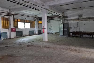 Spațiu industrial, de 8,000 mp, în Buziașului - 3