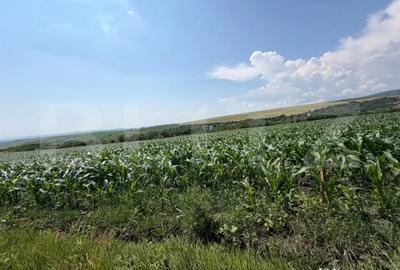 Teren în Săndulești - 3