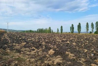 Teren de 5000 mp, în Tureni - 2
