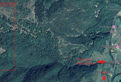 Teren de 50000 mp, în Rucăr - 3