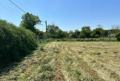 Teren de 1424 mp, în Bărcănești - 9