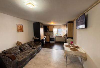 Apartament cu 3 camere decomandat, mobilat în Lăpuș