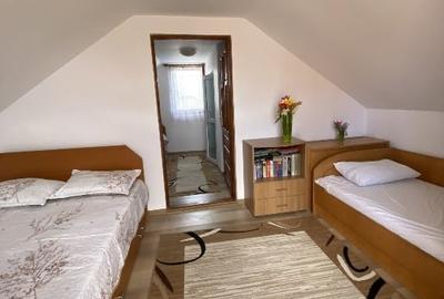 Casă individuală cu 3 camere cu Canalizare în Dascălu - 11