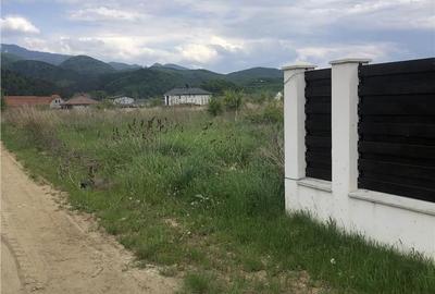 Teren de 1000 mp, în Cristian - 1