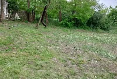 Casă cu 5 camere cu Teren 4000 Mp în Smârdan