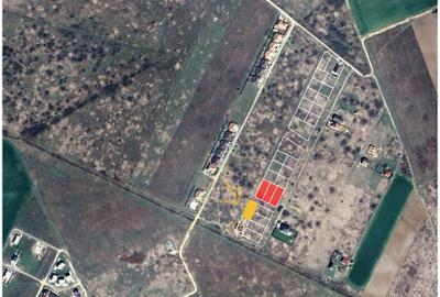 Teren Construcții intravilan de 684 mp, în Moșnița Nouă - 10